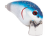 Pro Wake