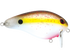 Pro Wake