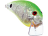Pro Wake