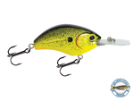 Vapor 50