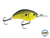 Vapor 50