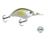 Vapor 50