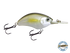 Vapor 50