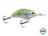 Vapor 50