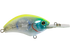 Vapor 50