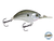 Vapor 50