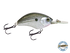 Vapor 50