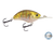 Vapor 50
