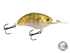 Vapor 50