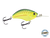 Vapor 50