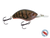Vapor 50