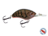 Vapor 50
