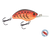 Vapor 50