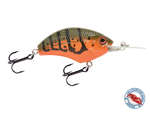 Vapor 50