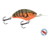 Vapor 50