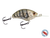 Vapor 50