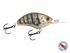 Vapor 50