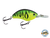 Vapor 50