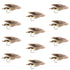 Muddler Minnow Fly Fishing Flies - Classic Bass and Trout Streamers - 1 Dozen Flies Hook Size 8