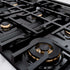 ZLINE 36" Dual Fuel Range, Gas Cooktop, Electric Convection Oven DuraSnow® Stainless Steel, Gold CDRSZ-36-G