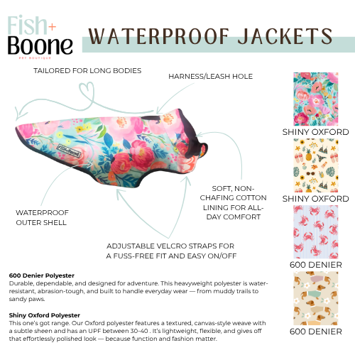 Southern Bloom Dog Coat
