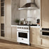 ZLINE 36"Paramount Dual Fuel Range Stainless Steel, White Matte, SDR-WM-36