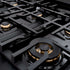 ZLINE 36" Select Dual Fuel Range Gas Cooktop Electric Convection Oven Black Stainless Steel Champagne Bronze HDRBZ-36-CB