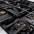 ZLINE 48" Select Gas Range Convection Gas Oven Stainless Steel Black Matte Doors Champagne Bronze HGRZ-BLM-48-CB