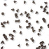 Blommer Royal Cocoa Drops – Baking Chocolate Drops – Bulk Value Bag