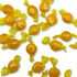 Butterscotch Buttons Hard Candy – Bulk Value Bag