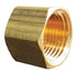 3/8” Brass Cap 6AYZ4