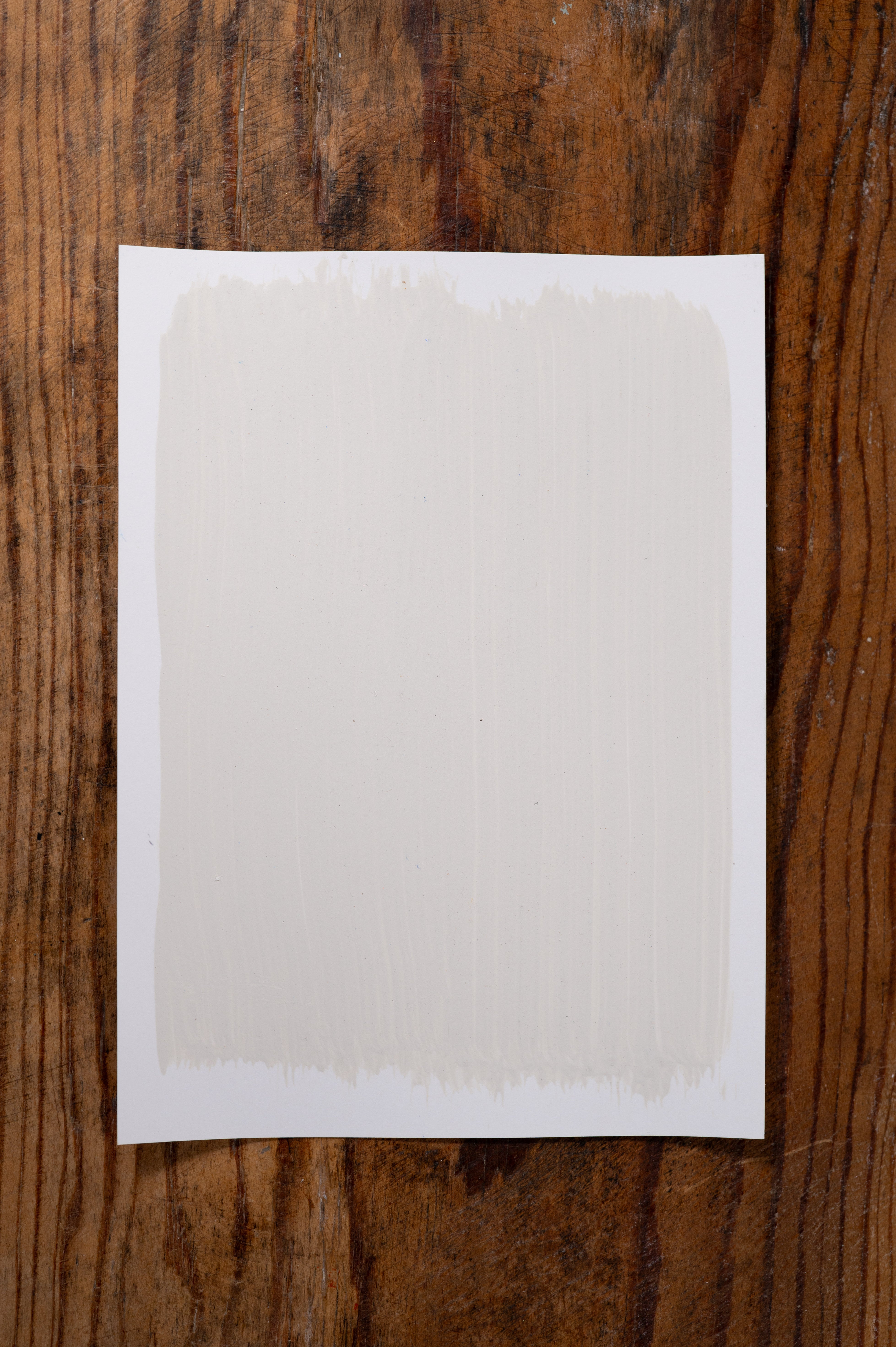 Besties - Manor Borne Wall Paint