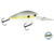 FlatMaster