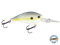 FlatMaster