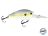 FlatMaster