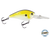 FlatMaster
