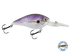 FlatMaster