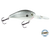 FlatMaster