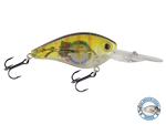 FlatMaster