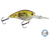 FlatMaster