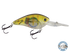 FlatMaster