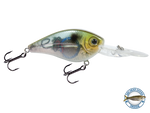 FlatMaster
