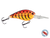 FlatMaster