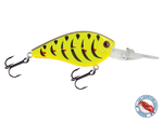 FlatMaster