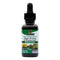 Nature's Answer Black Walnut & Wormwood Complex Extract, Alcohol-Free, 1 Fl Oz