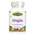Paradise Herbs Astragalus Vegetarian Capsules, Pack of 60
