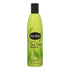 Shikai Natural Tea Tree Shampoo, 12 Fl Oz