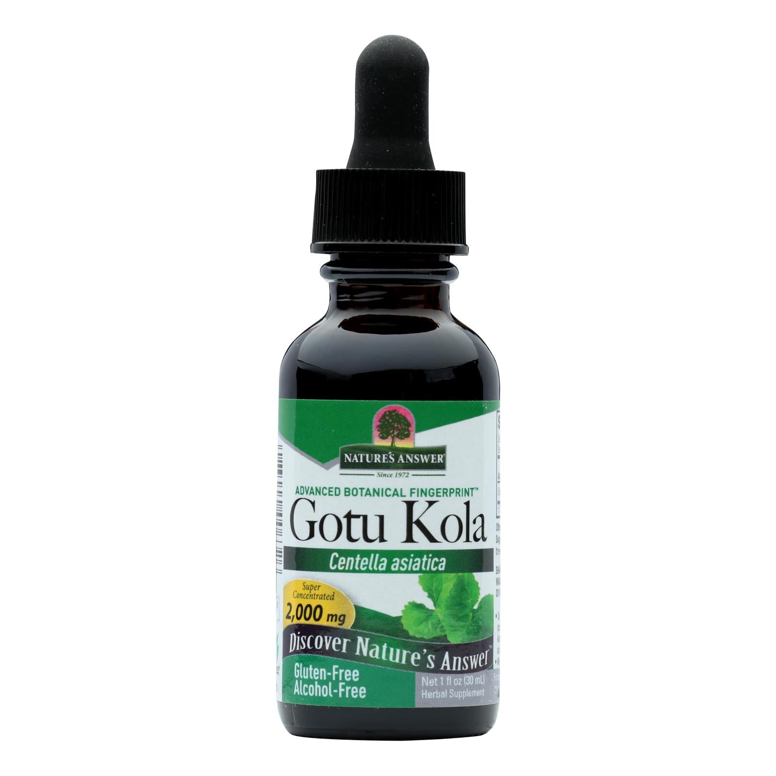 Nature's Answer Gotu Kola Herb Alcohol-Free Extract, 1 Fl Oz