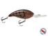 Deep Impact 12