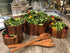 Large Salad Bowl with Servers and 4 Individuals - 328B7